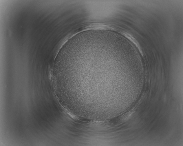 X0000076071481200610061549