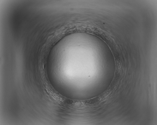 X0000076071489200610061548