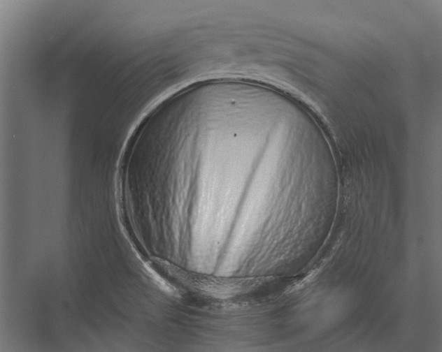 X0000076071517200610061549