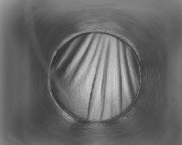 X0000076071525200610061549