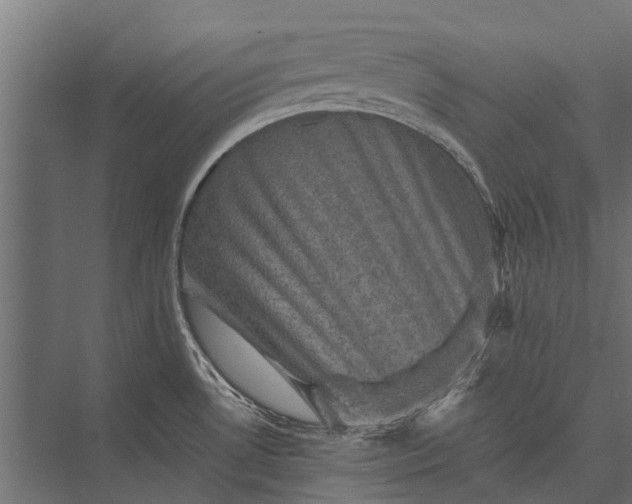 X0000076071530200610061549