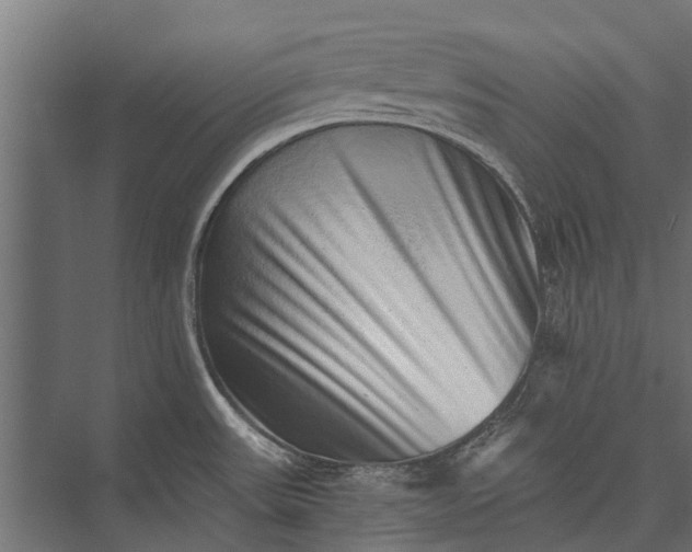 X0000076071531200610061549
