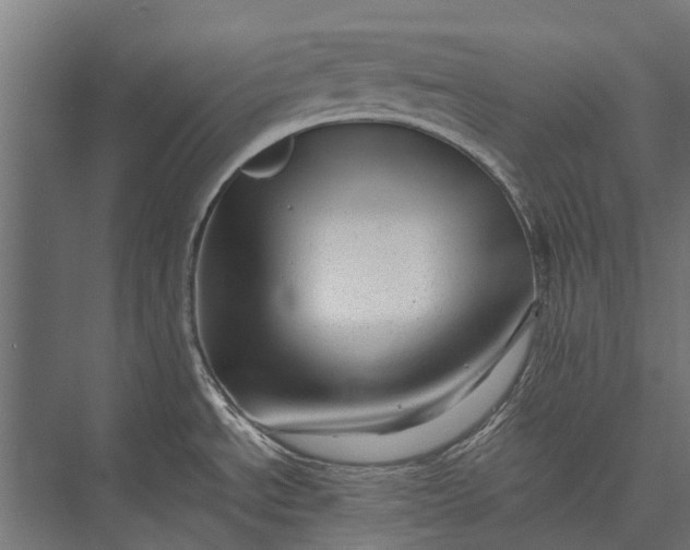 X0000076071534200610061549