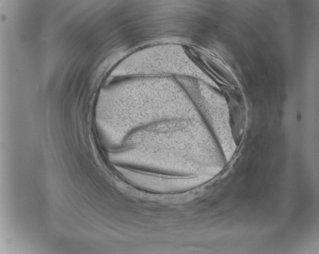 X0000076070001200610152239