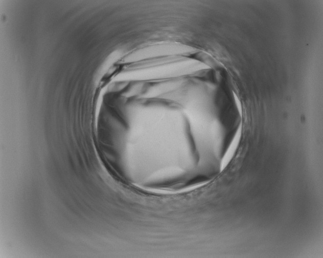 X0000076070003200610152239