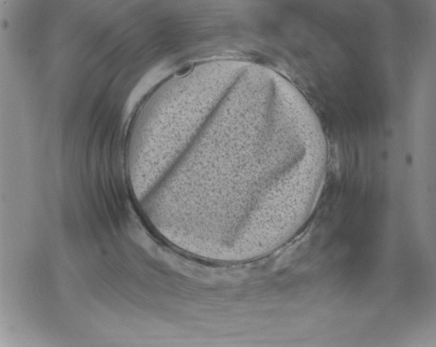 X0000076070004200610152239