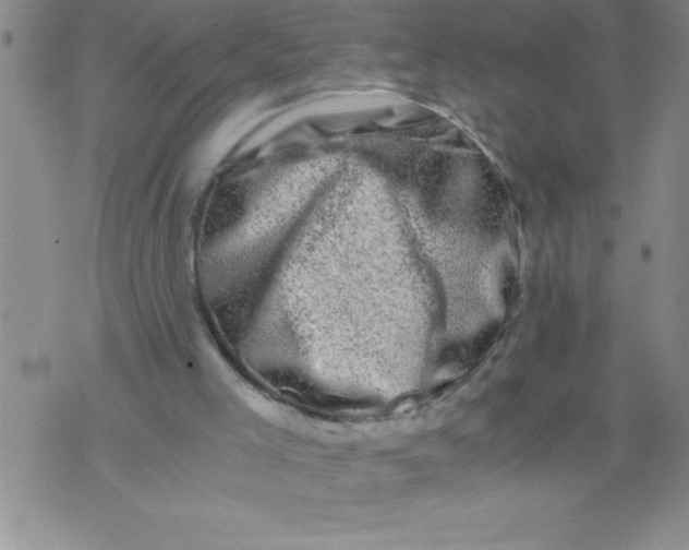 X0000076070005200610152239