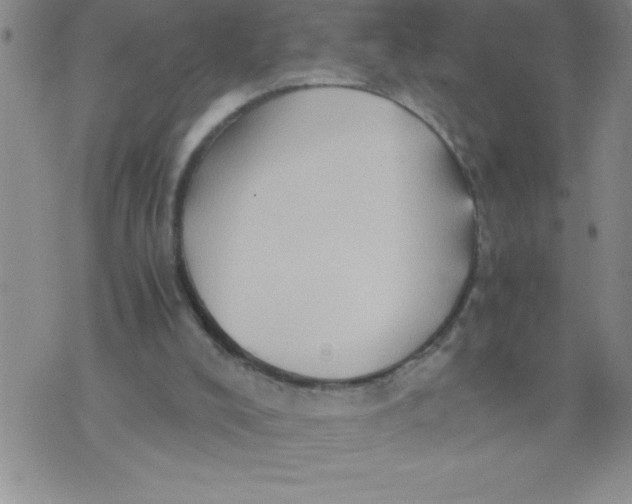 X0000076070008200610152239