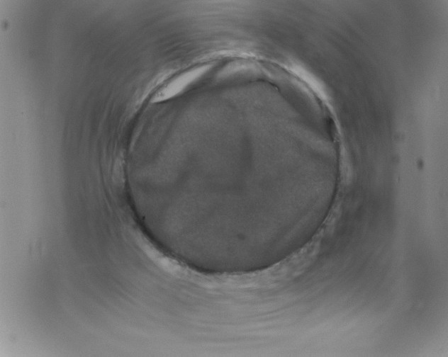 X0000076070009200610152239