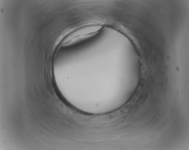 X0000076070011200610152239