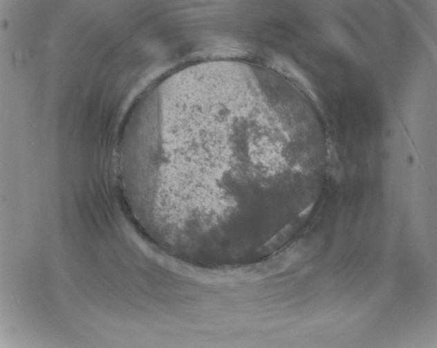 X0000076070012200610152239