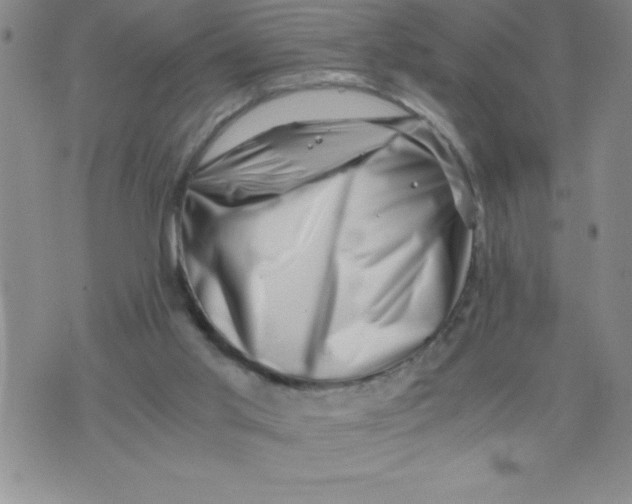 X0000076070013200610152239