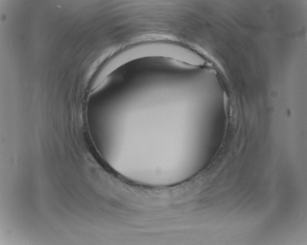 X0000076070015200610152239