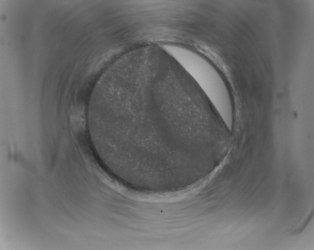 X0000076070017200610152239