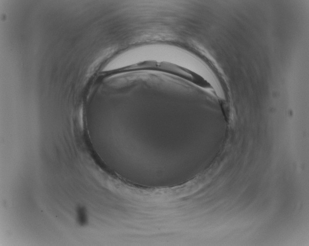 X0000076070019200610152239