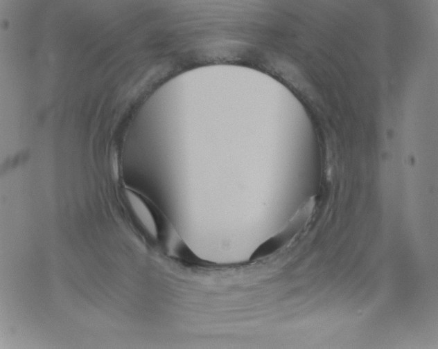 X0000076070021200610152239