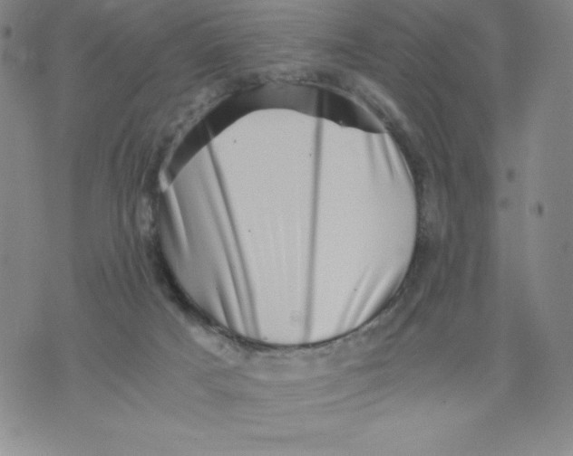 X0000076070025200610152239