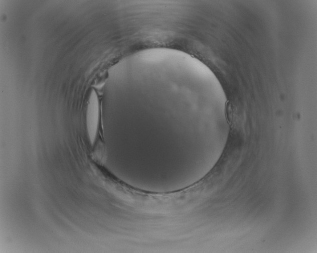 X0000076070027200610152239