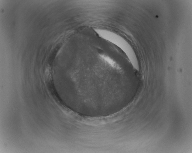 X0000076070029200610152239