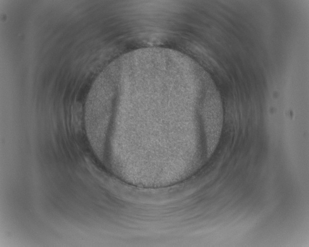 X0000076070030200610152239