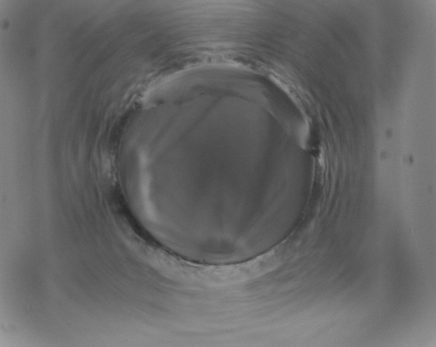 X0000076070031200610152239