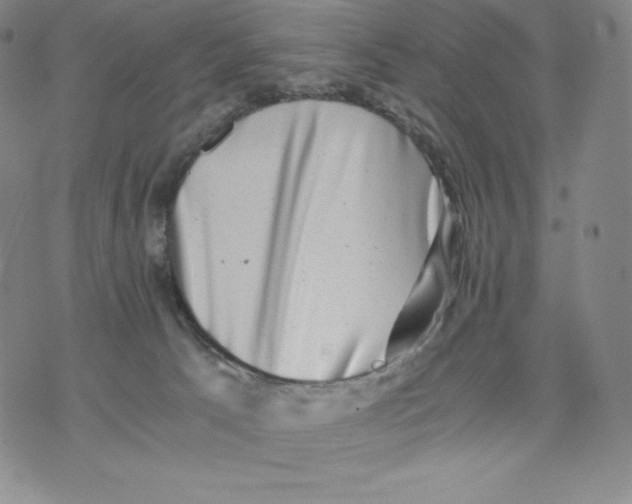 X0000076070033200610152239