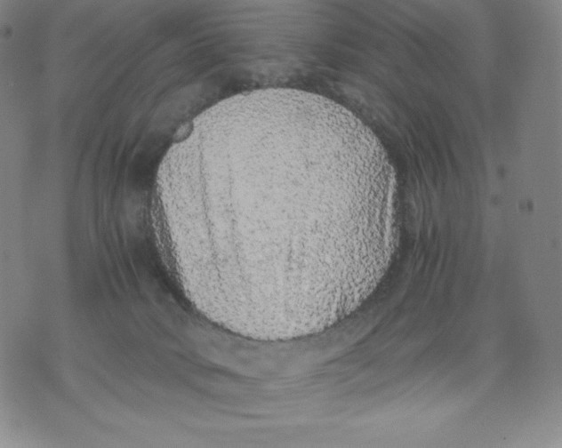 X0000076070034200610152239