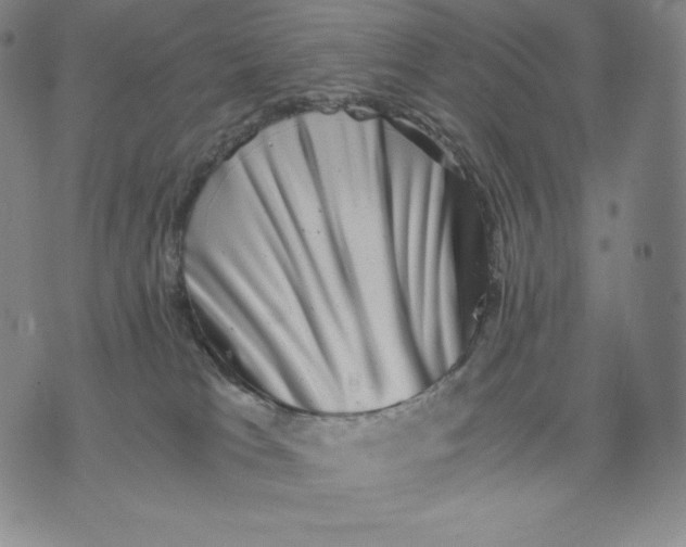 X0000076070037200610152239