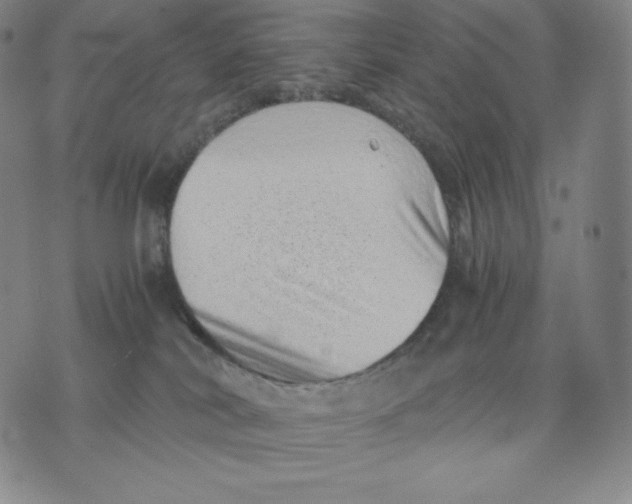 X0000076070038200610152239