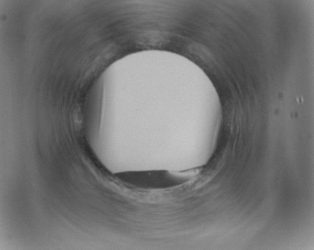 X0000076070040200610152239