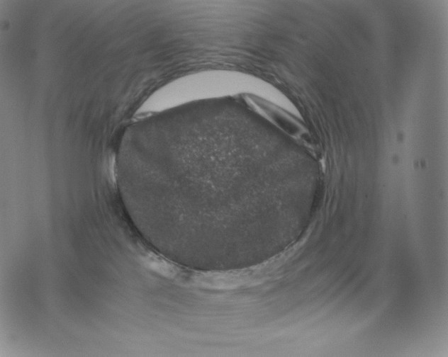 X0000076070041200610152239