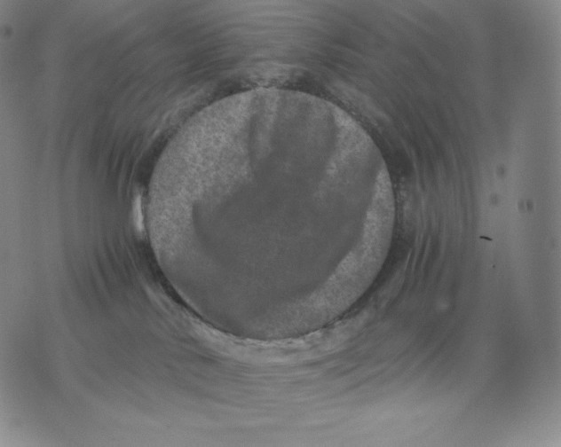 X0000076070042200610152239