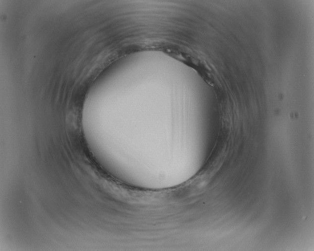 X0000076070044200610152238