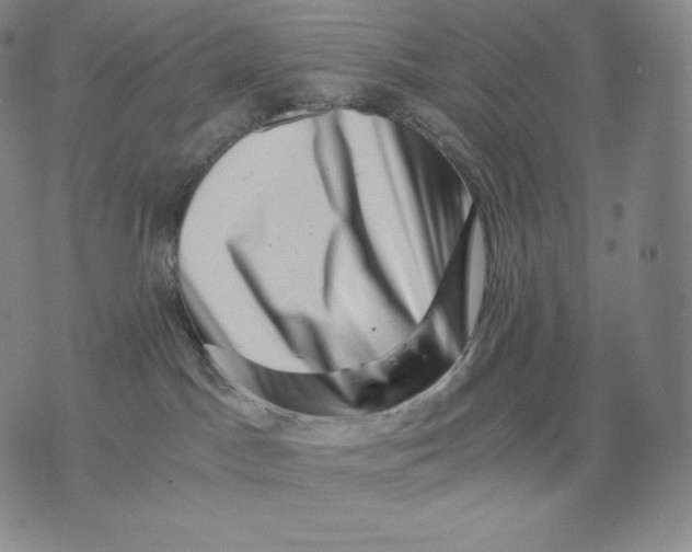 X0000076070045200610152238