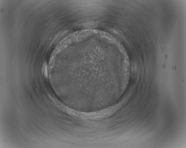 X0000076070046200610152238