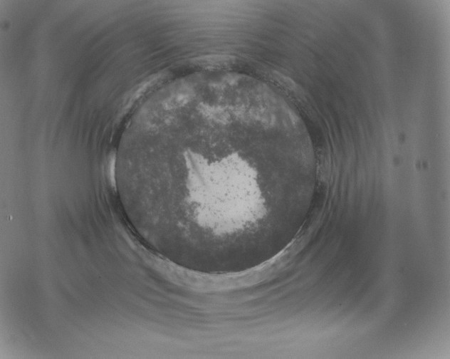 X0000076070047200610152238