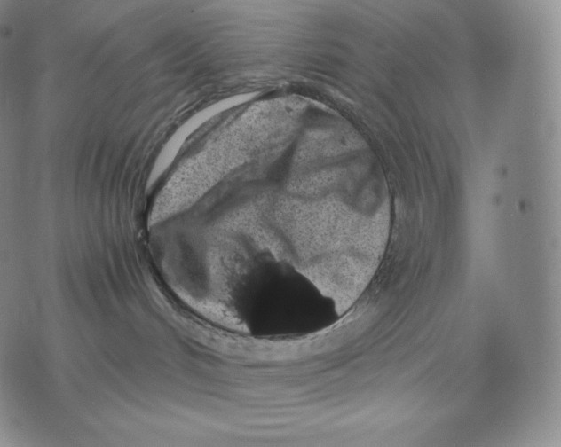 X0000076070048200610152238