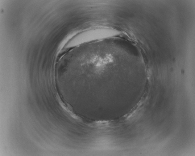 X0000076070052200610152238