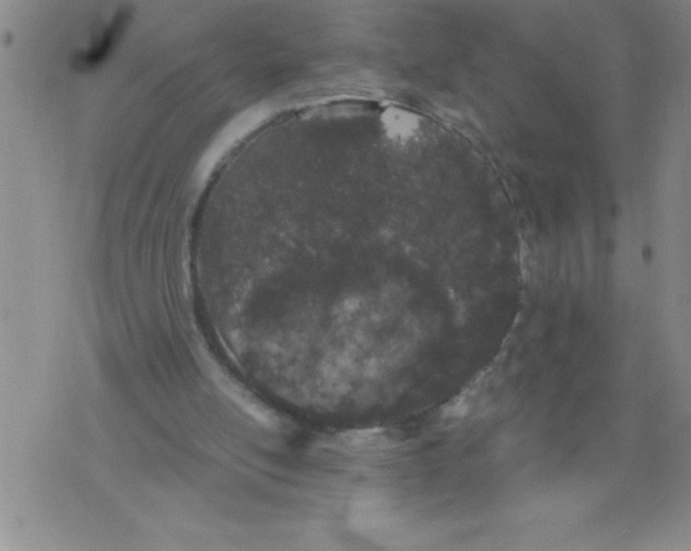 X0000076070054200610152238