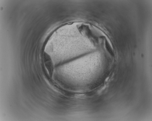 X0000076070055200610152238