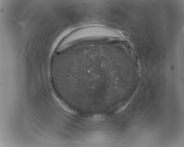 X0000076070056200610152238