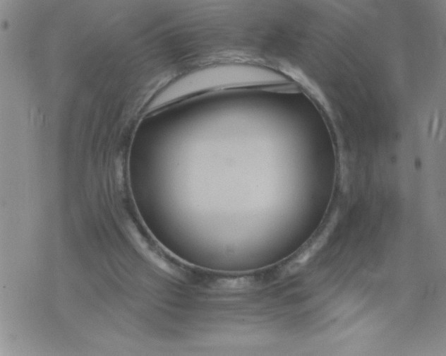 X0000076070057200610152238