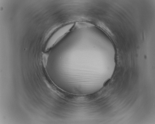 X0000076070058200610152238