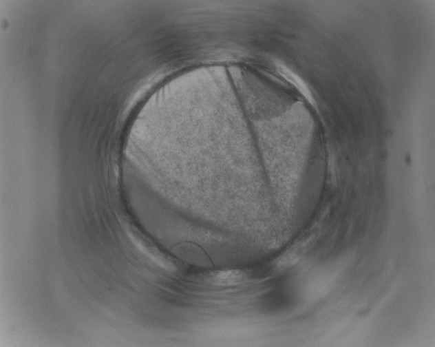 X0000076070059200610152238