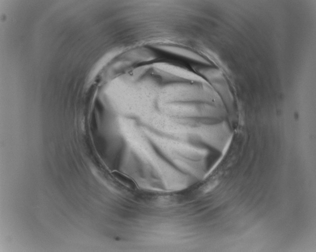 X0000076070060200610152238