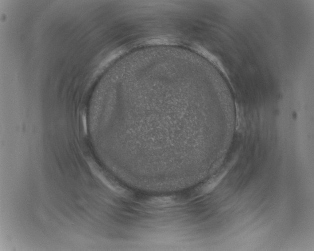 X0000076070061200610152238