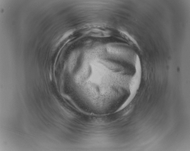 X0000076070062200610152238