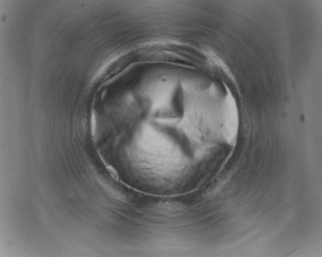 X0000076070063200610152238