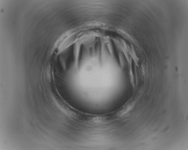 X0000076070064200610152238