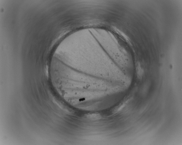 X0000076070067200610152238